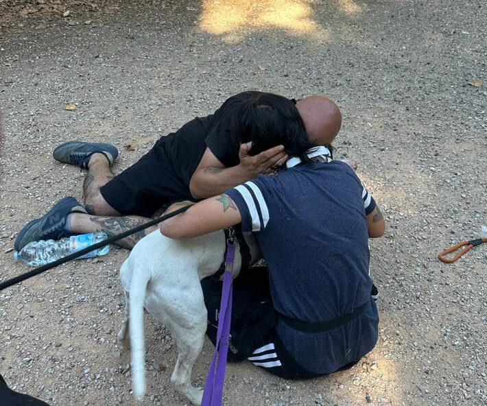 Weiss, il cane sordo ritrovato che ha commosso Livorno