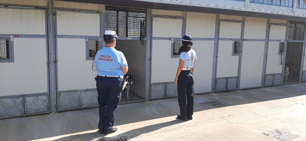 Cani abbandonati nel degrado a Piombino: denunciata la padrona