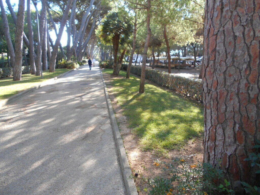 Giro di vite per le auto nella pineta di Castiglioncello: attivi i varchi