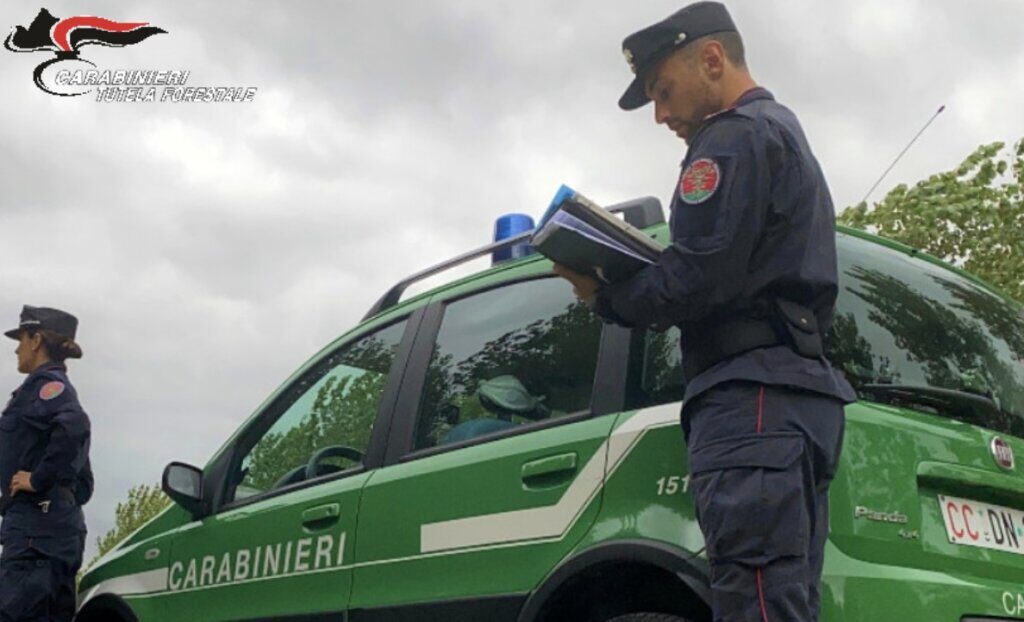 Multato per non aver installato il misuratore di portata a un pozzo privato