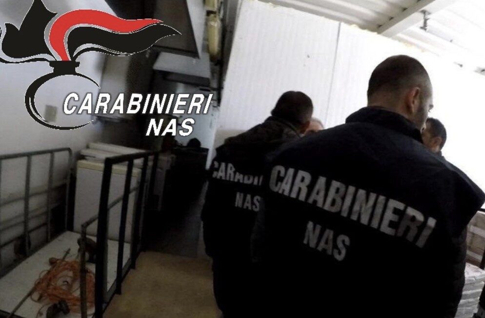 Scarsa igiene in cucina e i Nas fanno chiudere un esercizio sul lungomare di Cecina