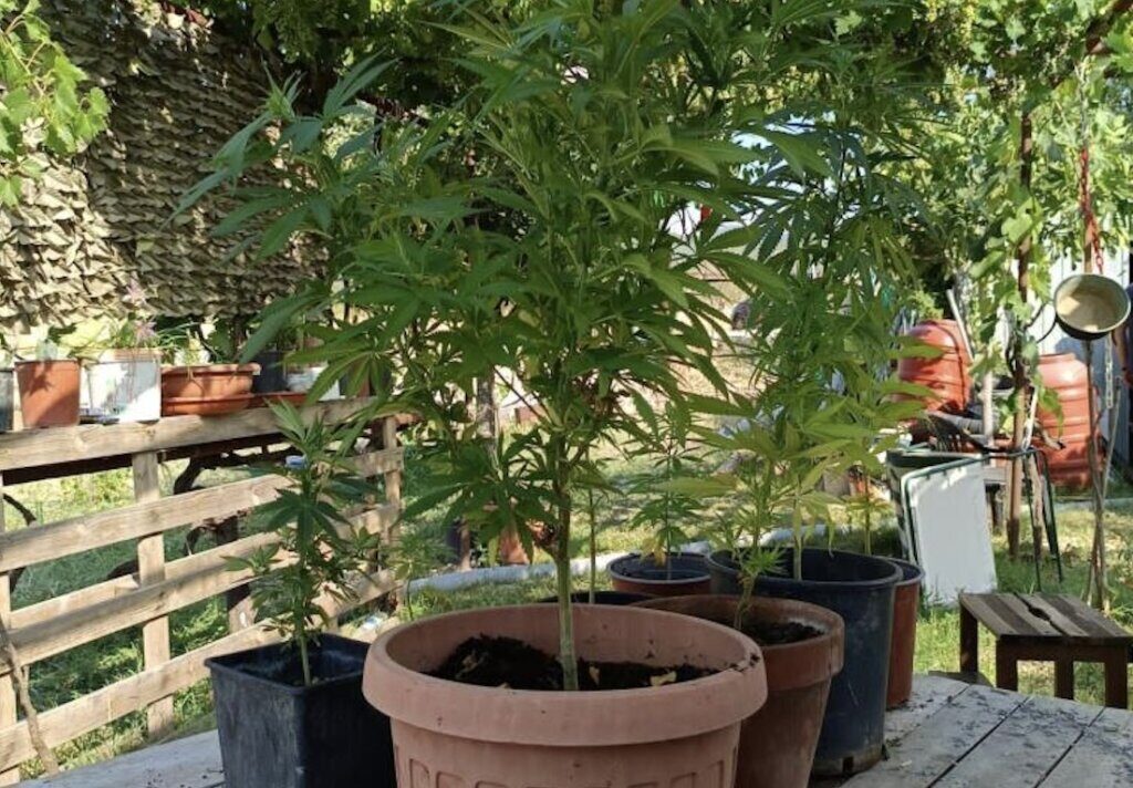 Due arresti e due denunce per la droga a chili nella movida dell’Isola d’Elba