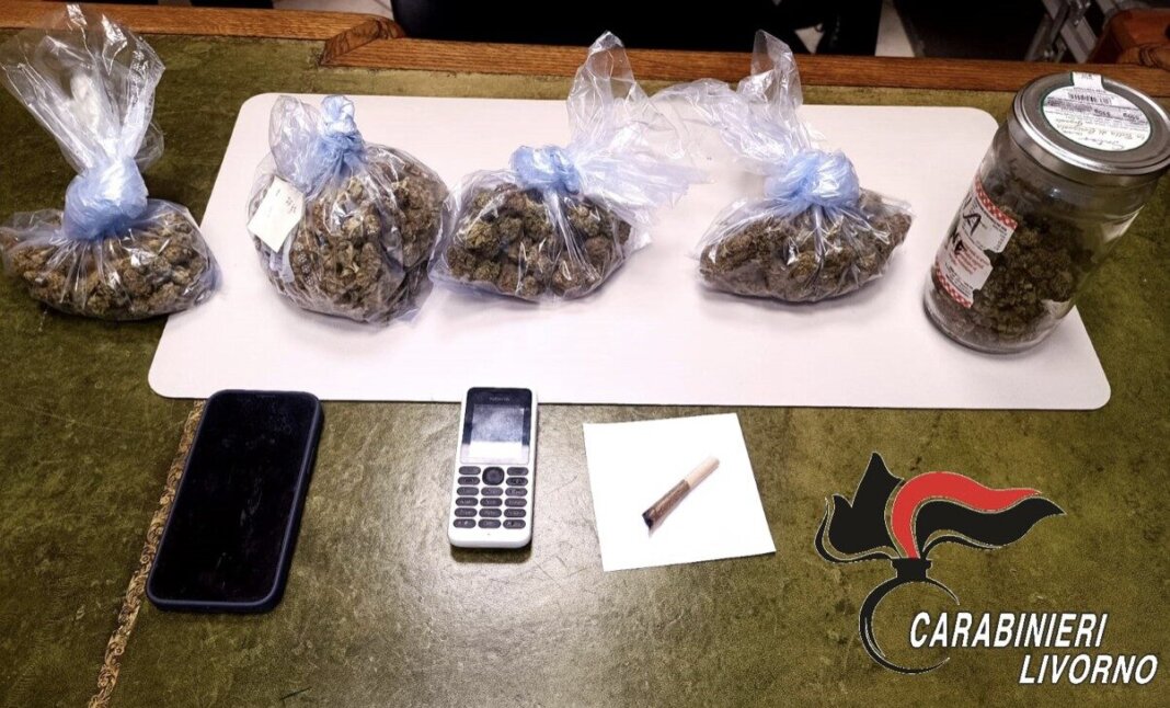 Blitz dei carabinieri in una casa di Castagneto Carducci: arrestato un pusher 50enne
