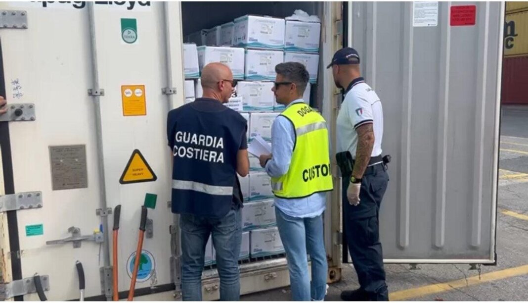 Dubbi sul pesce surgelato arrivato dal Senegal: scatta il sequestro