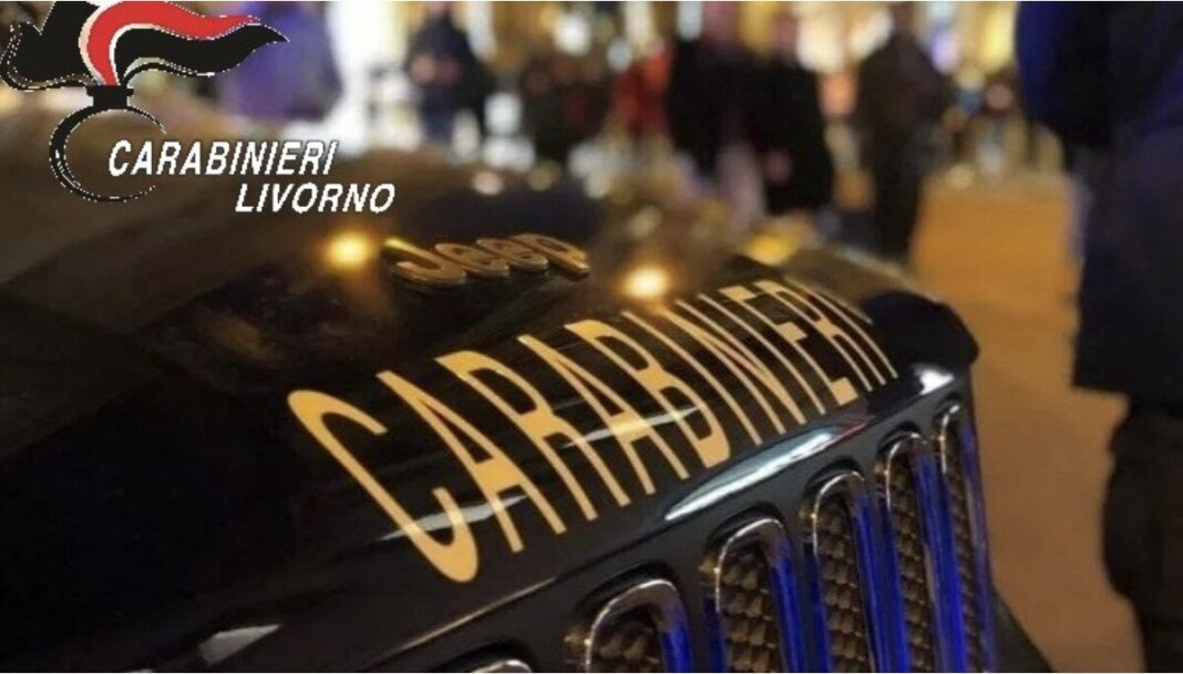 Ruba un generatore elettrico, individuato e denunciato in poche ore dai carabinieri