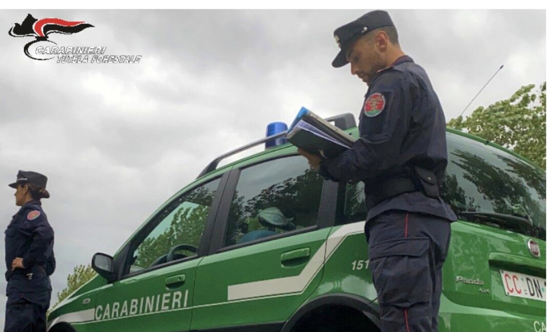 Rifiuti da demolizione abbandonati in un terreno: tre denunciati