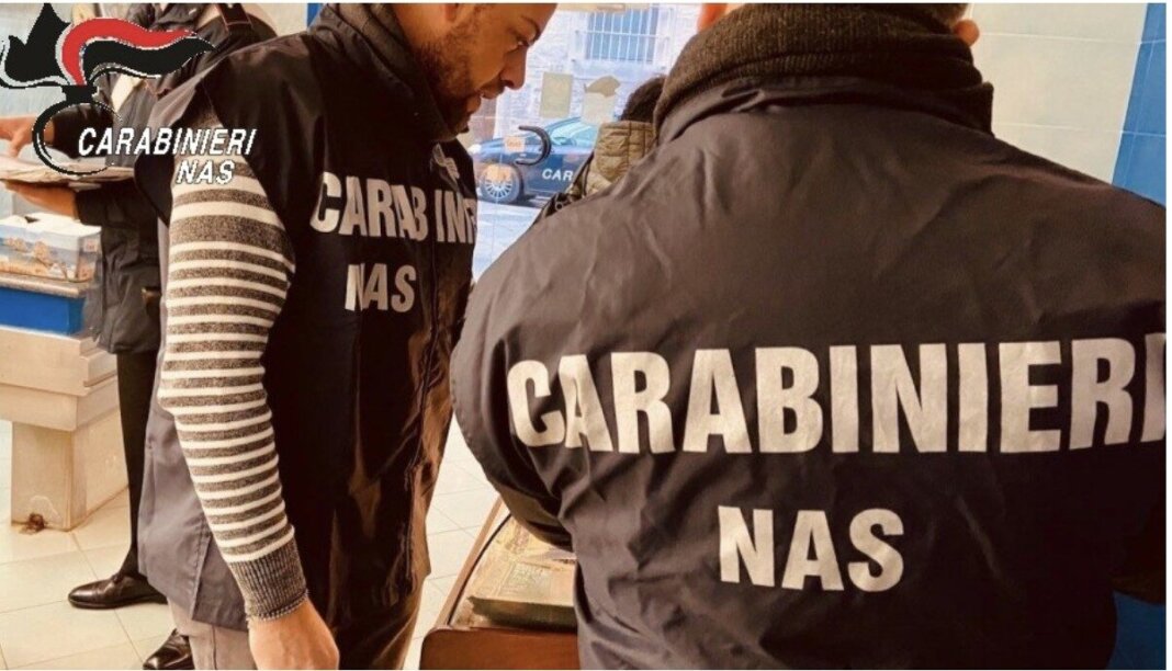 Magazzino di deposito alimenti senza Scia e in precarie condizioni igieniche: multa e chiusura
