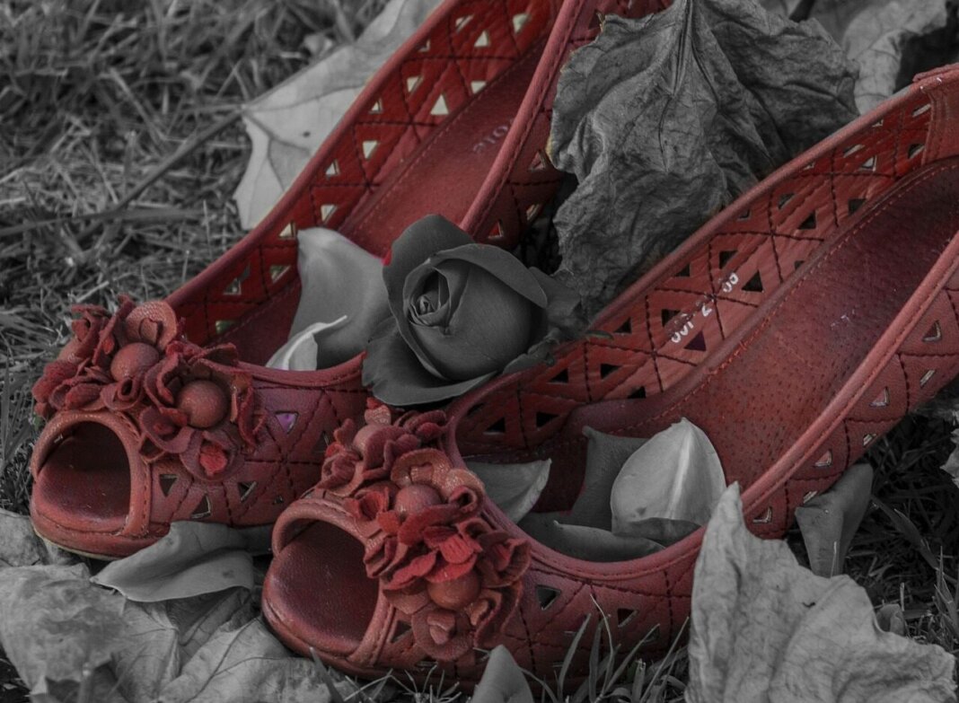 novembre antiviolenza