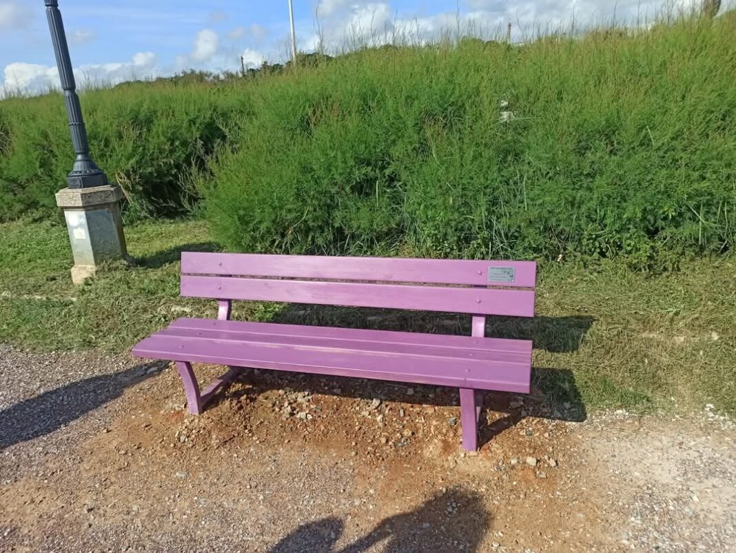 Al parco di via Goito una panchina viola per sensibilizzare sul tema dell'Alzheimer