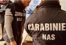 Sporco in cucina ed elementi privi di tracciabilitĂ in frigo, sospesa l’attivitĂ di un ristorante di Livorno Sporco in cucina ed elementi privi di tracciabilitĂ in frigo, sospesa l'attivitĂ di un ristorante di Livorno