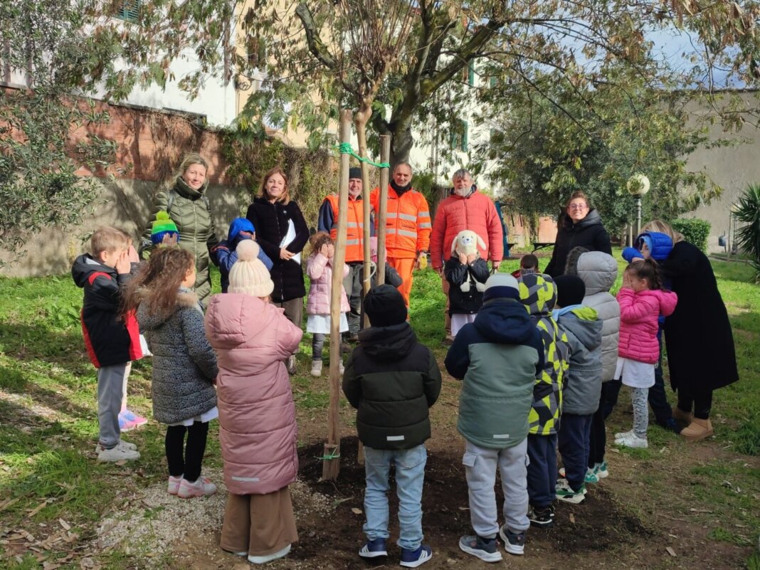 Settimana dell'albero