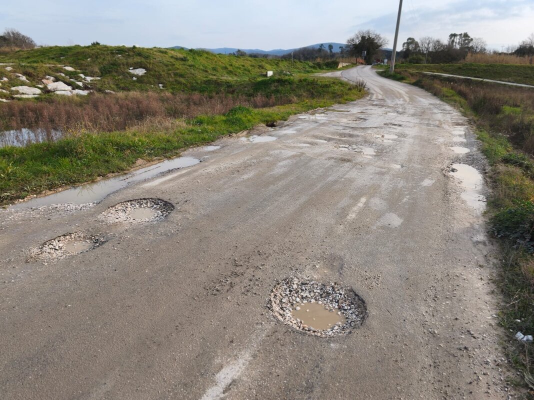 via aiaccia collesalvetti