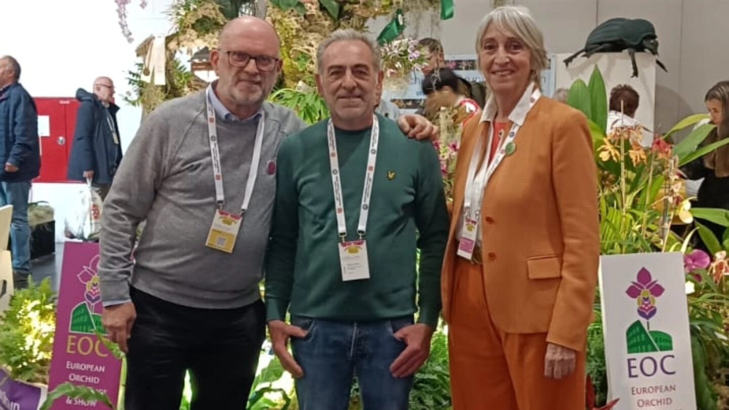 WOC 2026 Dresda orchidee