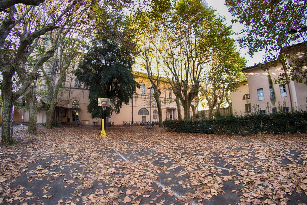 liceo cecioni livorno