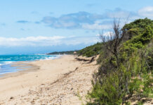 Mancavano i dati delle locazioni turistiche, rivisti i numeri del turismo a San Vincenzo Parco di Rimigliano