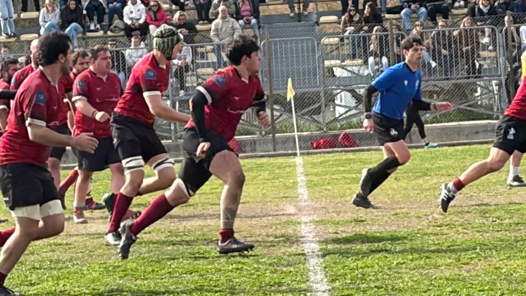 Lions Amaranto Livorno