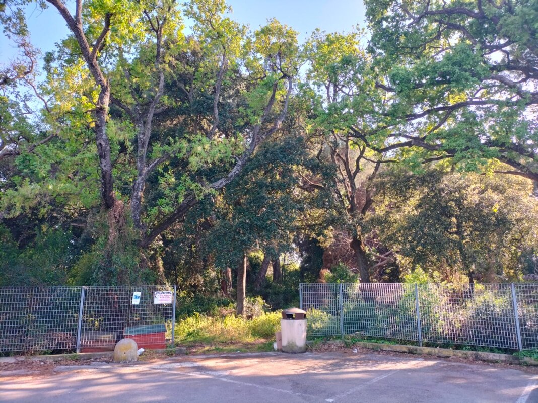 parco avventura san vincenzo