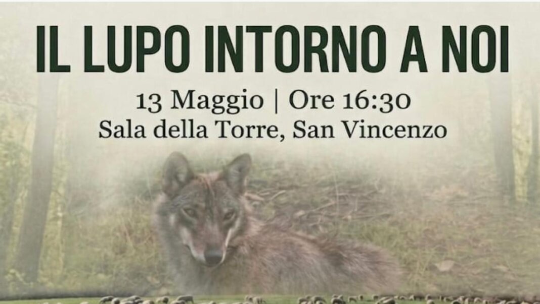 Il lupo intorno a noi