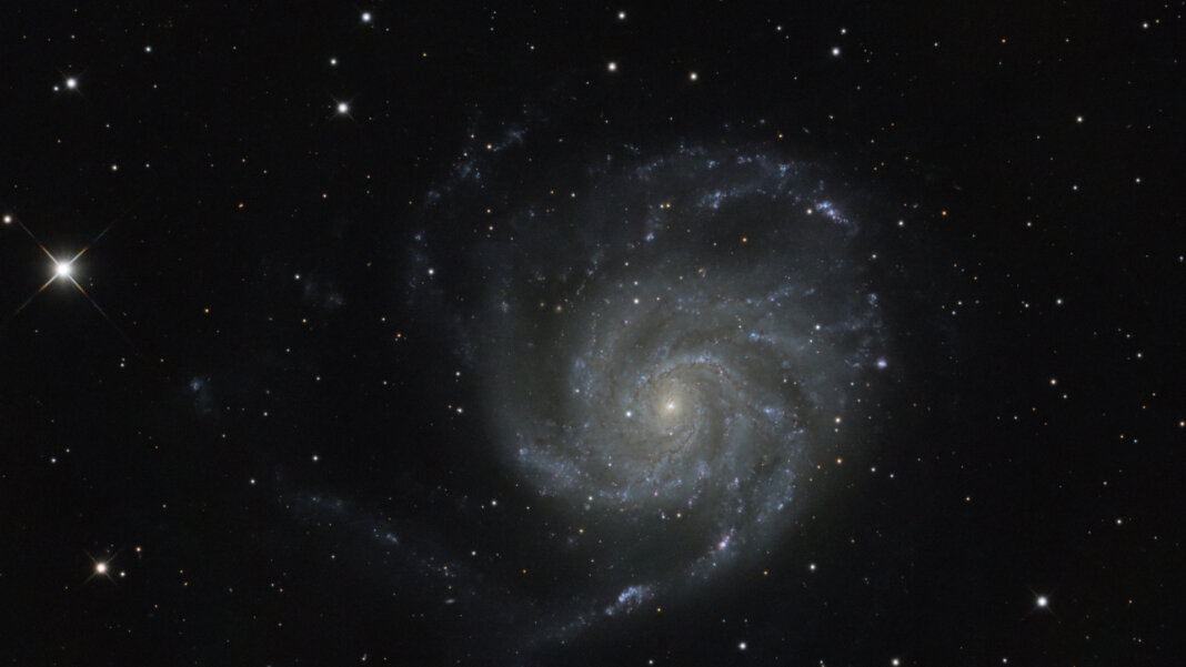 Astrofili