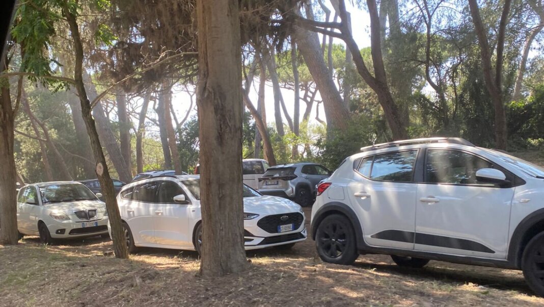 Parcheggio in pineta a Baratti