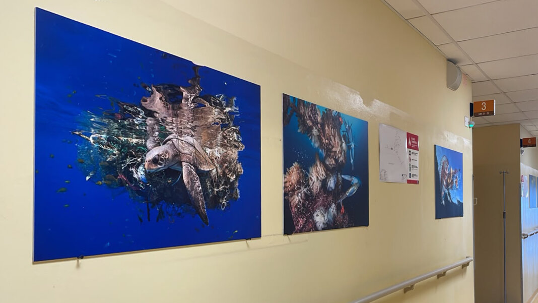 Mostra_Portoferraio